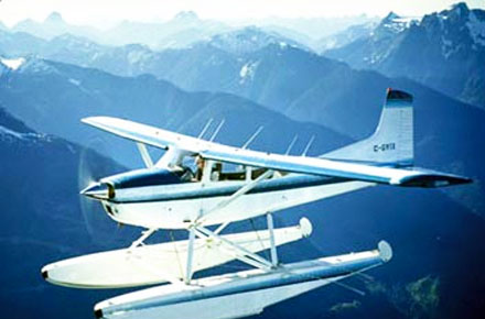 picture of forest and mountains