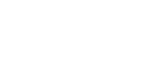 Fly to the limit logo