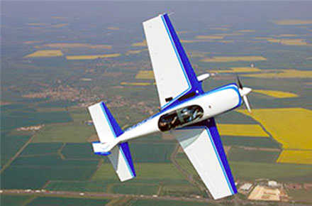 picture of forest and mountains